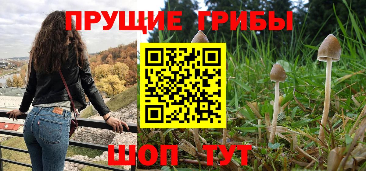 Комсомольск-на-Амуре  Галлюциногенные грибы MAGIC MUSHROOMS  Вход с VPN 