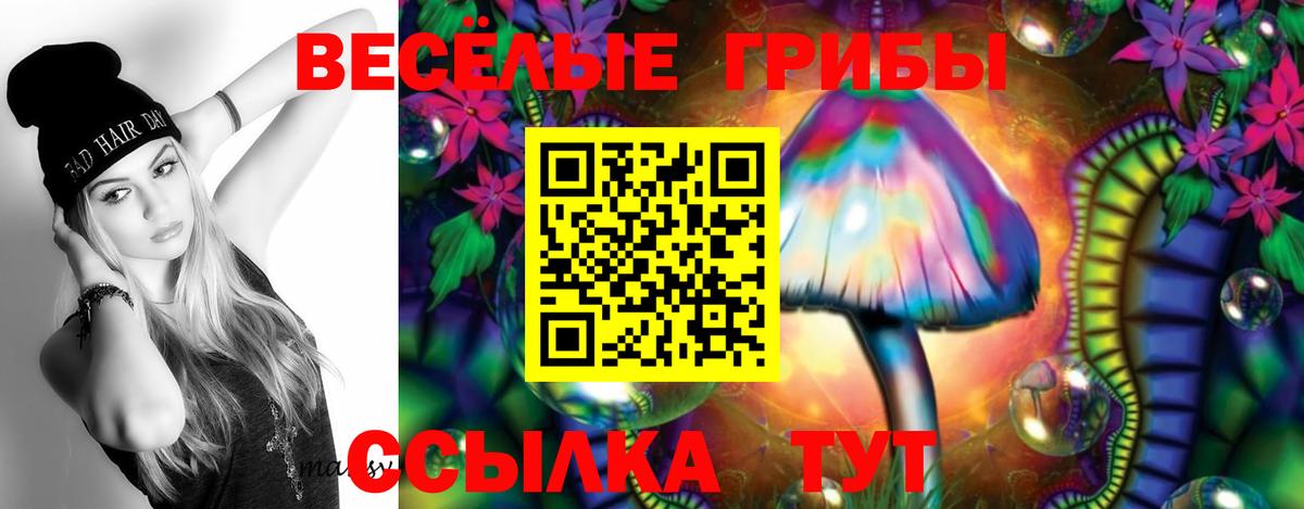 МЕФ   Кокаин  ГАШ  ГАШИШ  Alpha-PVP СК кристаллы  Магазины продажи наркотиков  Вход с VPN  Кетамин  Комсомольск-на-Амуре  Бошки Шишки 